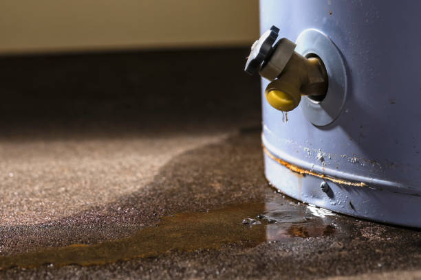 Best Basement water damage restoration  in Morgandale, OH