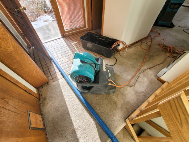 Best Flood damage cleanup  in Morgandale, OH