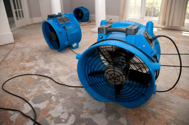 Best Flood restoration services  in Morgandale, OH