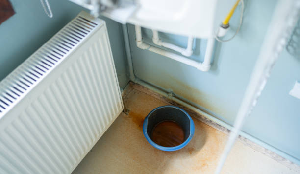 Best Mold removal after water damage  in Morgandale, OH